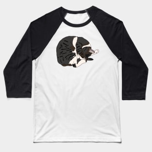 Sleeping cat Baseball T-Shirt